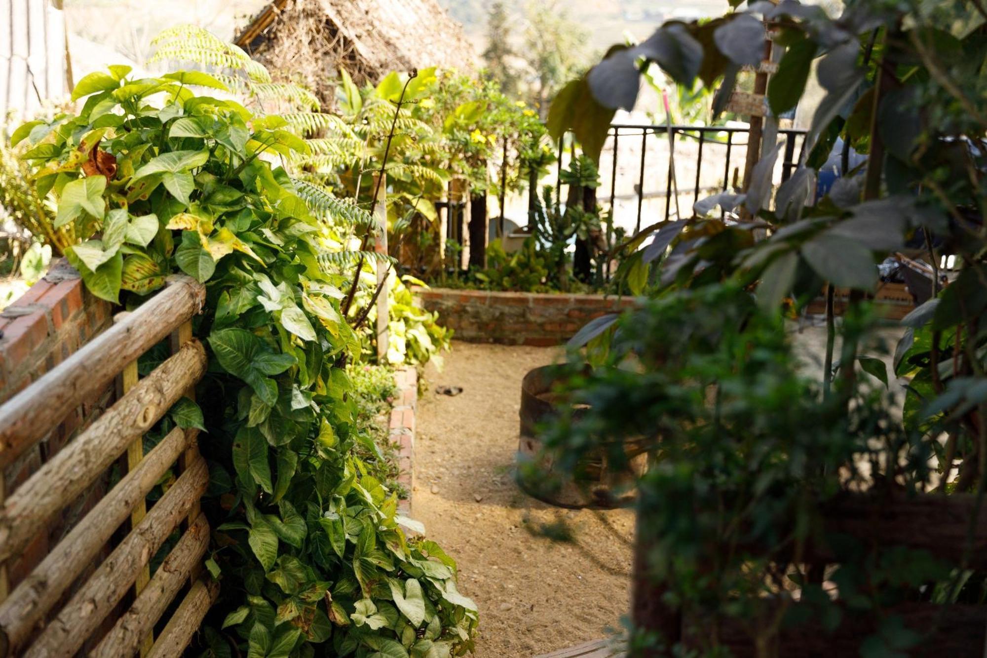 Sapa Plum Eco House Hotel Exterior photo